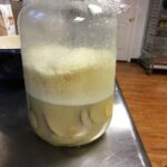 potato starter